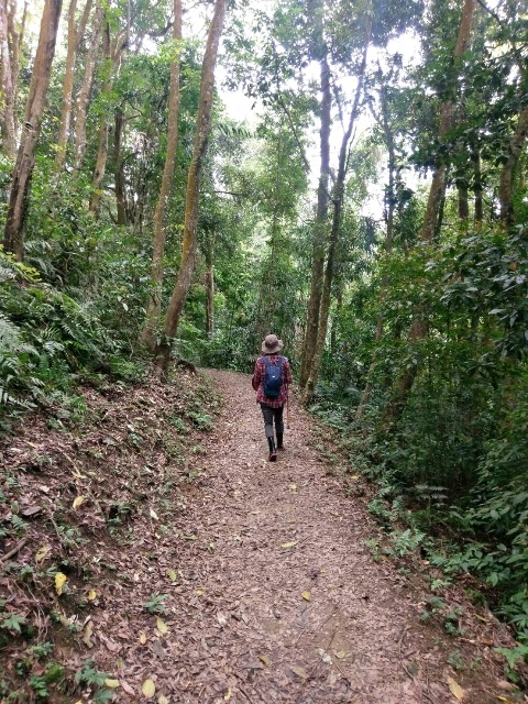 IMG_5977.jpg IMG_5977.jpg