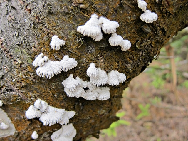 IMG_5984.JPG IMG_5984.JPG