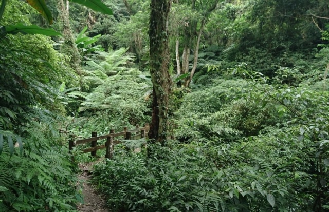 1138708510_x.jpg 1138708510_x.jpg