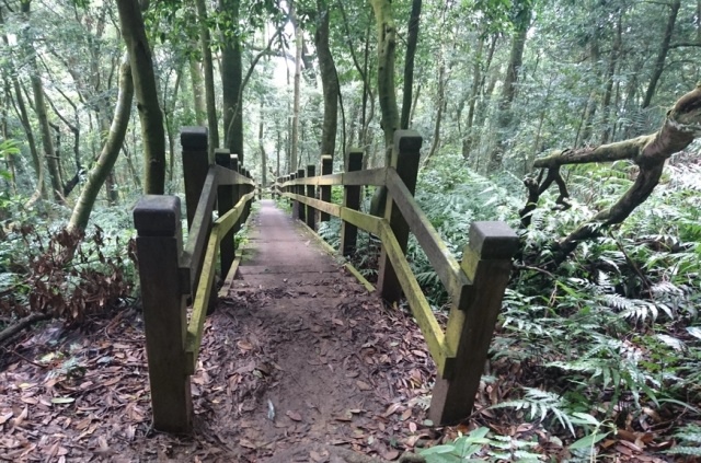 1138708512_x.jpg 1138708512_x.jpg