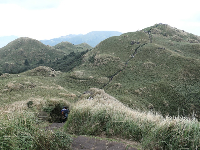 109022961.JPG 109022961.JPG