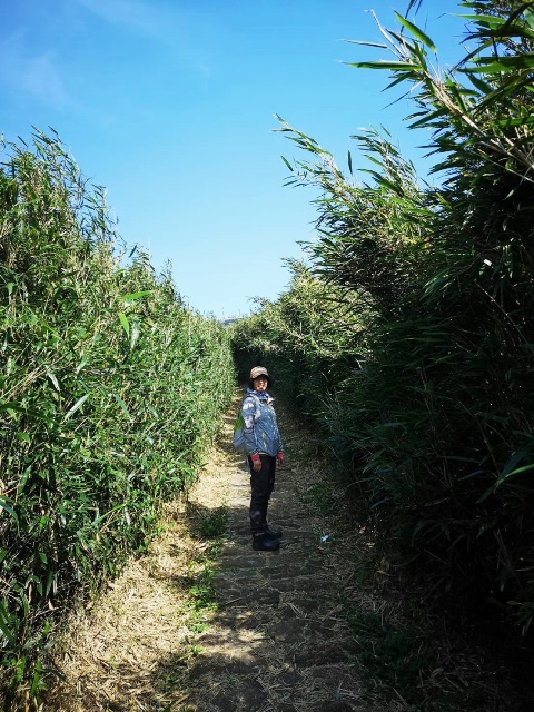 109022901-1.jpg 109022901-1.jpg