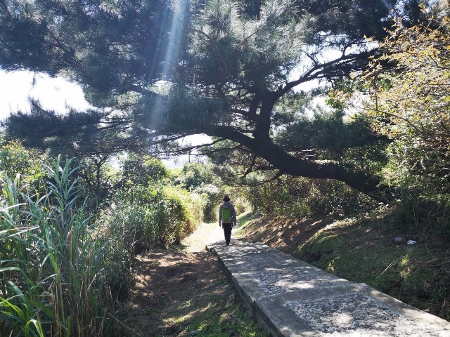 109022971-1.jpg 109022971-1.jpg