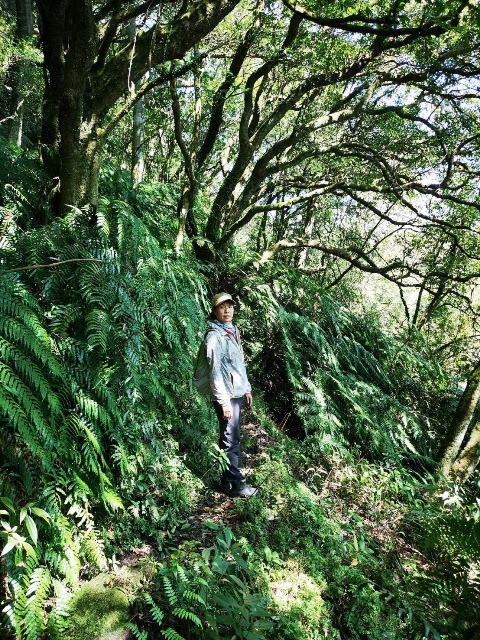 109022976-1.jpg 109022976-1.jpg