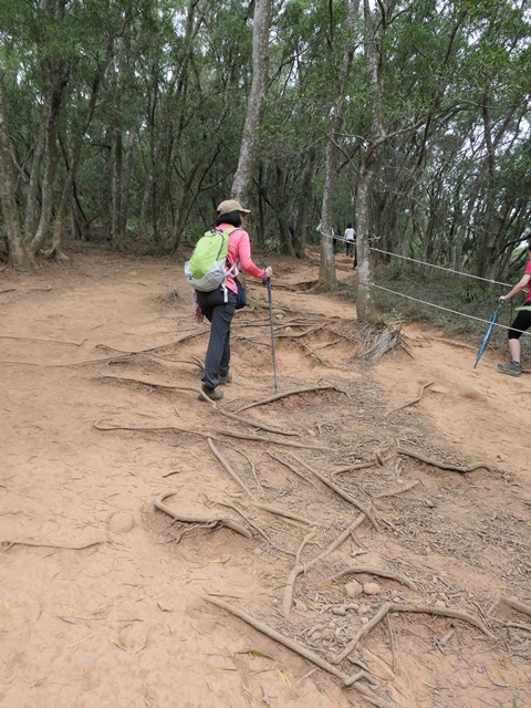 109041923.JPG 109041923.JPG