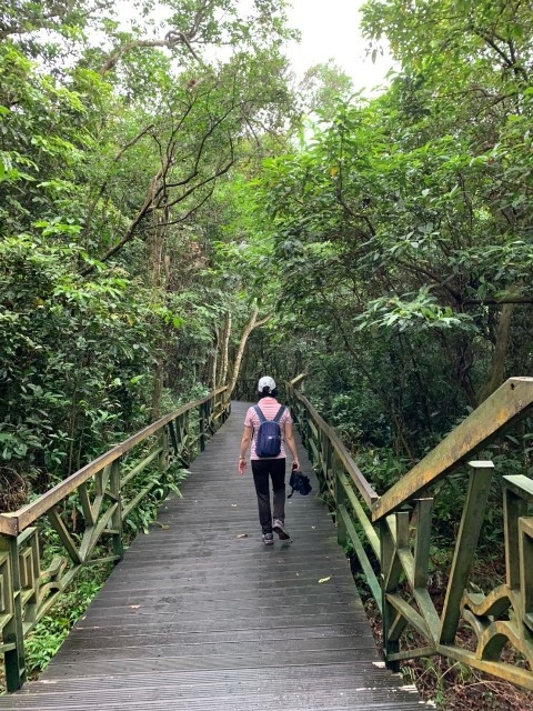 109060710-1.jpg 109060710-1.jpg