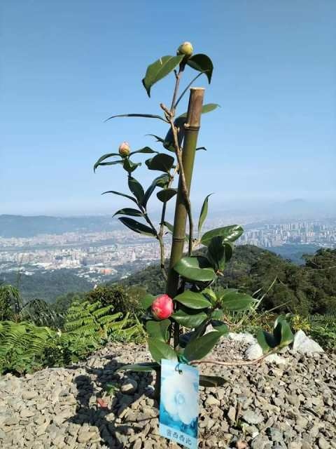 111031307.jpg 111031307.jpg