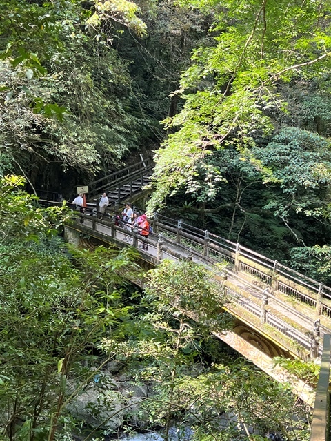 P1020534-1.jpg P1020534-1.jpg