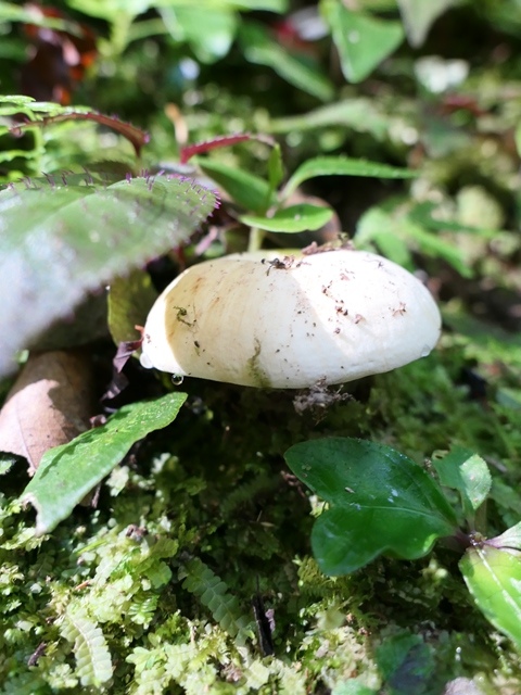 P1020535.JPG P1020535.JPG