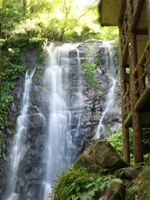 P1020542.JPG P1020542.JPG