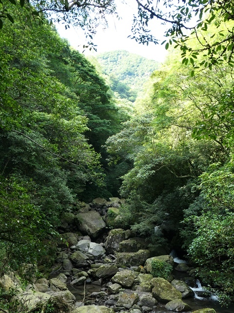 P1020547.JPG P1020547.JPG