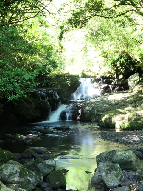 P1020550.JPG P1020550.JPG