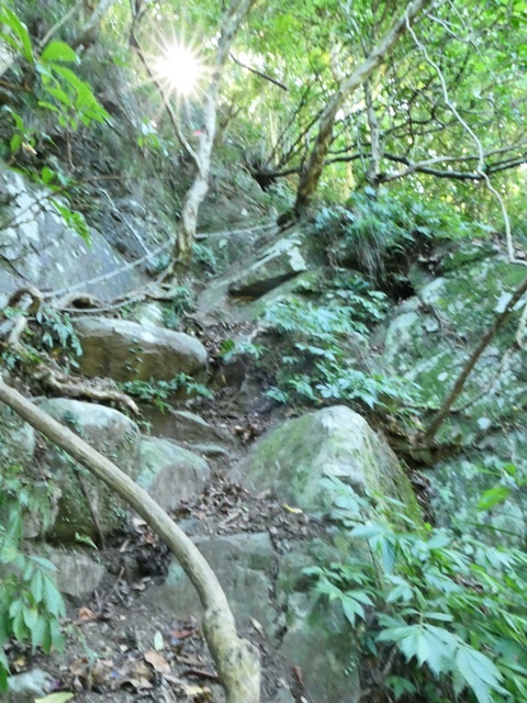 P1020555.JPG P1020555.JPG