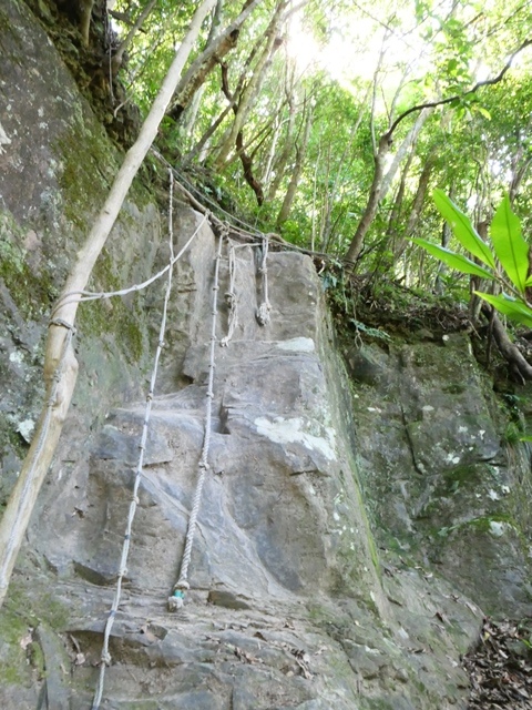 P1020556(1023).JPG P1020556(1023).JPG