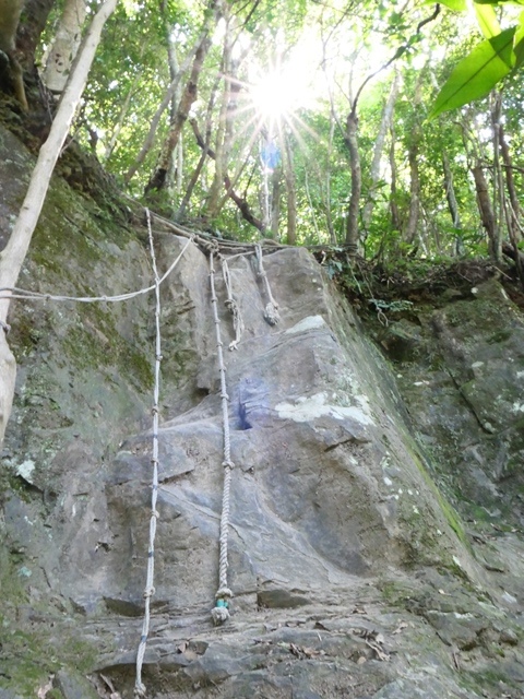 P1020558.JPG P1020558.JPG