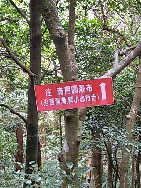 P1020562-6.jpg P1020562-6.jpg