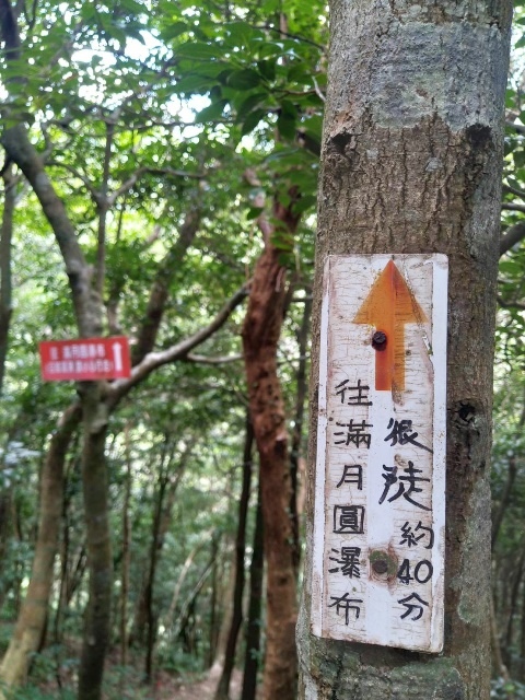 P1020562-7.jpg P1020562-7.jpg