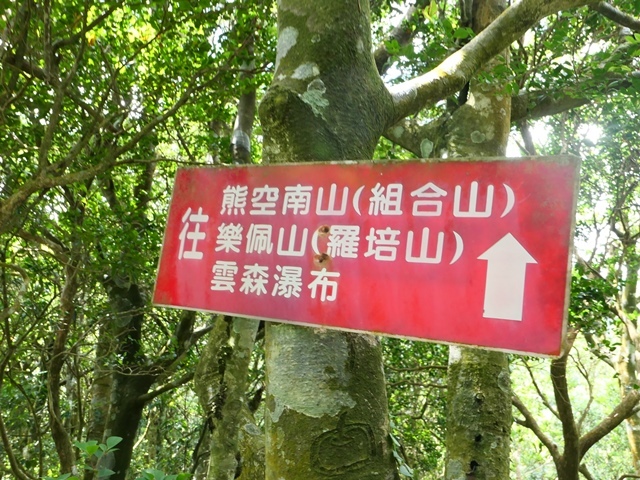 P1020563.JPG P1020563.JPG