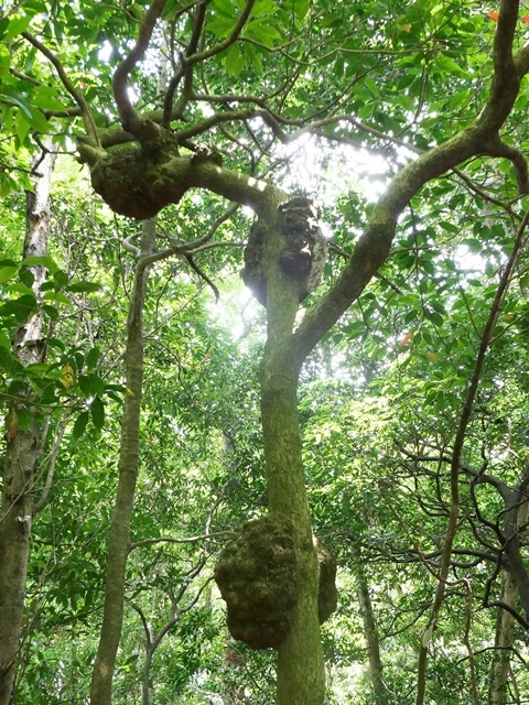 P1020565.JPG P1020565.JPG