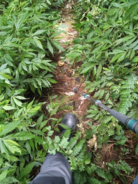 P1020566-1.jpg P1020566-1.jpg