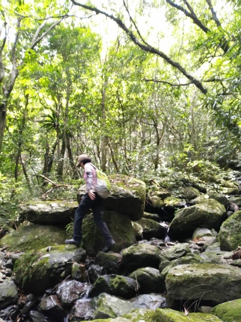 P1020566-2.jpg P1020566-2.jpg