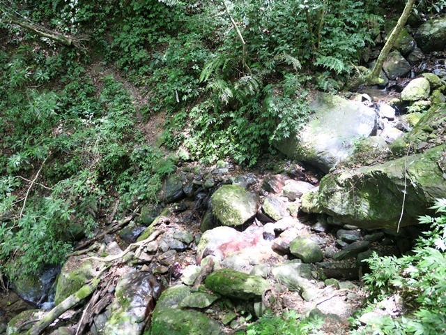 P1020577.JPG P1020577.JPG