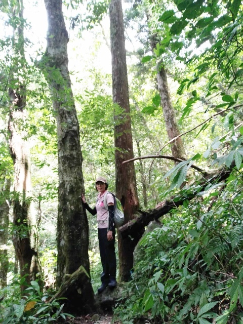 P1020584.jpg P1020584.jpg