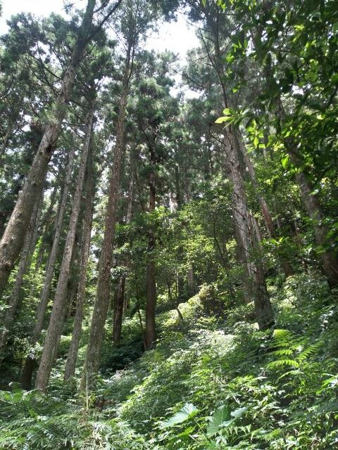 P1020584-1(1229).jpg P1020584-1(1229).jpg