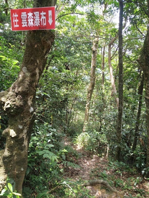 P1020586-1(1246).jpg P1020586-1(1246).jpg