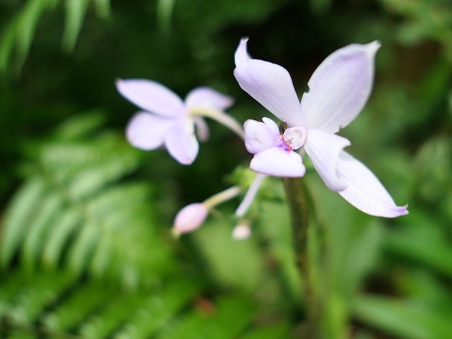 P1020589.JPG P1020589.JPG