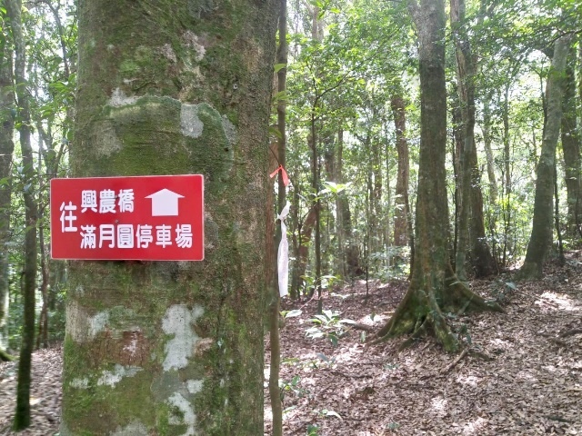 P1020597-1(1333).jpg P1020597-1(1333).jpg