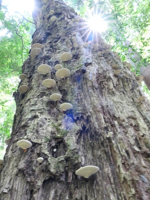 P1020598.JPG P1020598.JPG