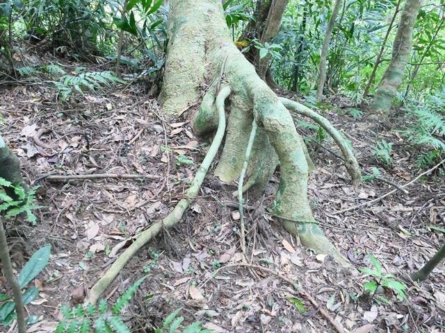 P1020601.JPG P1020601.JPG