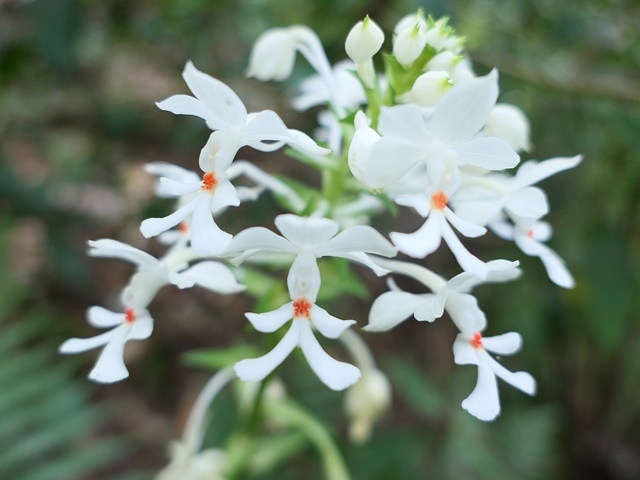 P1020603.JPG P1020603.JPG