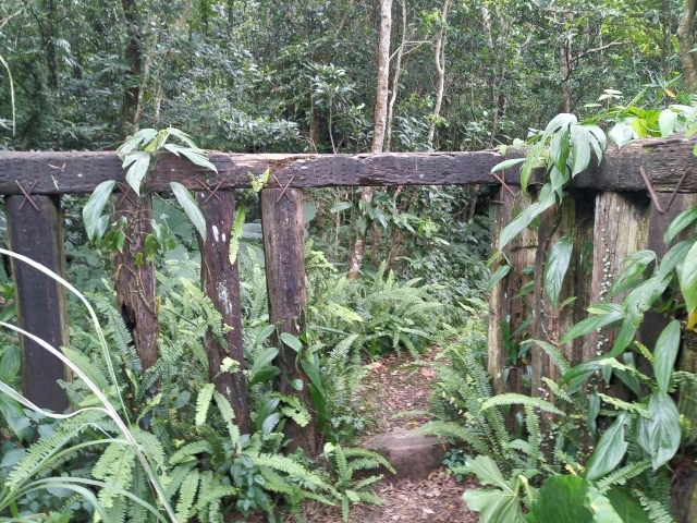 P1020604(1438).jpg P1020604(1438).jpg