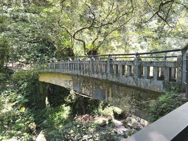 P1020535.jpg P1020535.jpg