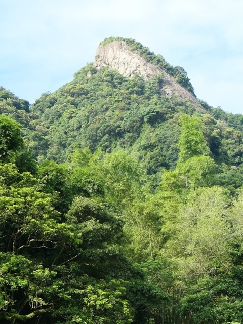 P1020624.JPG P1020624.JPG