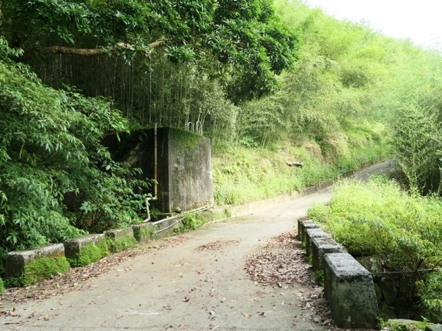 P1020625.JPG P1020625.JPG