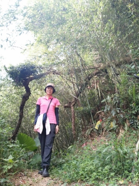 P1020627-2.jpg P1020627-2.jpg