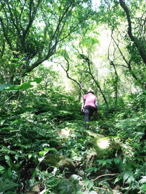 P1020630.jpg P1020630.jpg