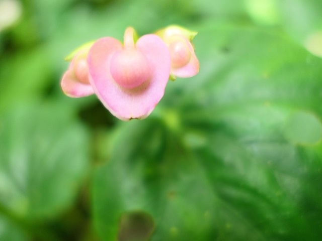 P1020631.JPG P1020631.JPG