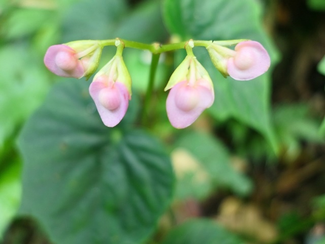 P1020636.JPG P1020636.JPG