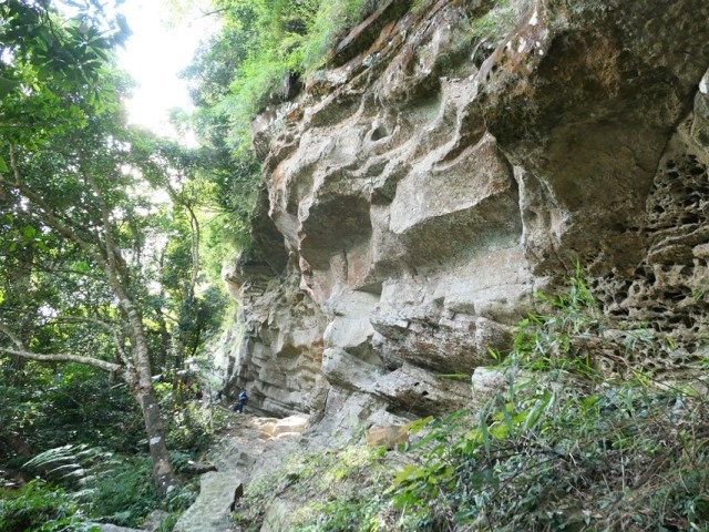 P1020640.JPG P1020640.JPG