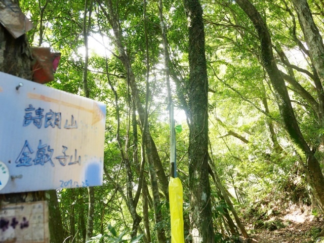 P1020641-1.JPG P1020641-1.JPG