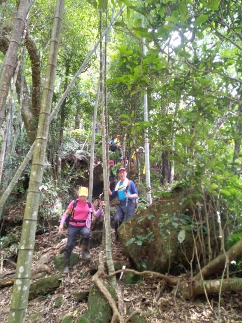 P1020645-1.jpg P1020645-1.jpg