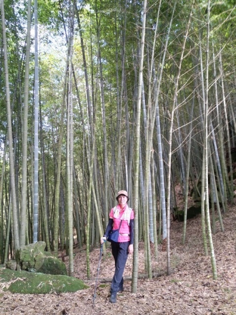 P1020645-2.jpg P1020645-2.jpg