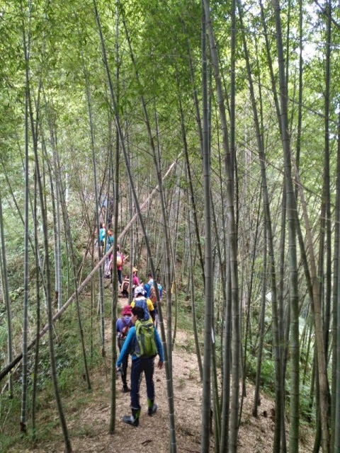 P1020645-3.jpg P1020645-3.jpg