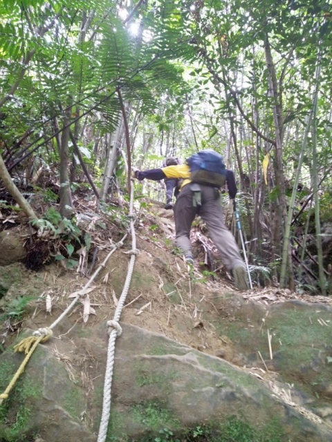 P1020645-4.jpg P1020645-4.jpg