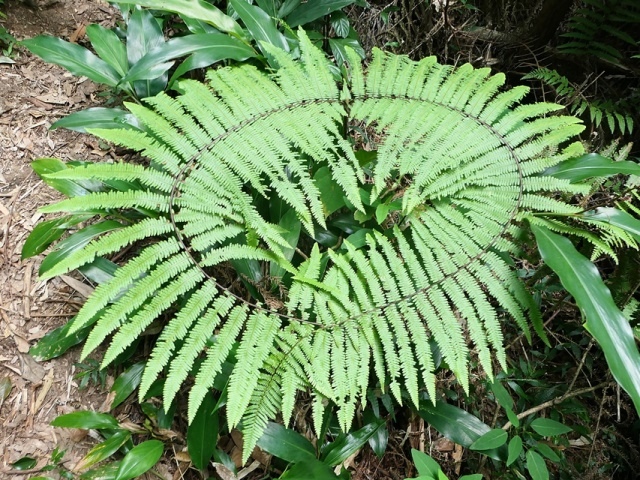 P1020646.JPG P1020646.JPG