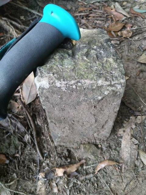 P1020649-3.jpg P1020649-3.jpg